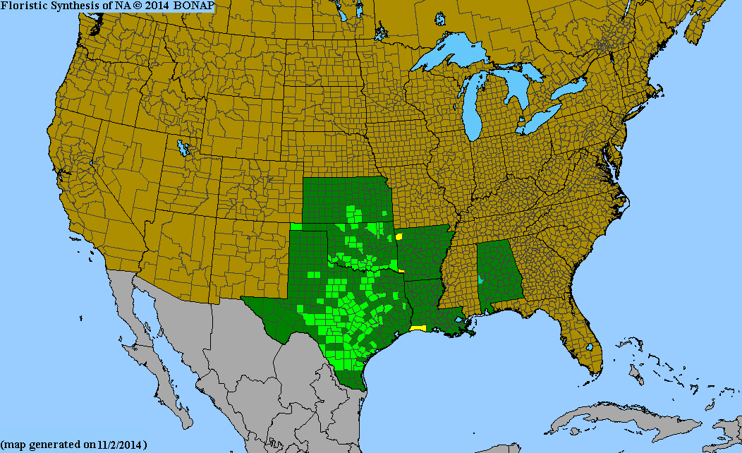 County distribution map of Astragalus nuttallianus var. nuttallianus - Turkey-Peas
